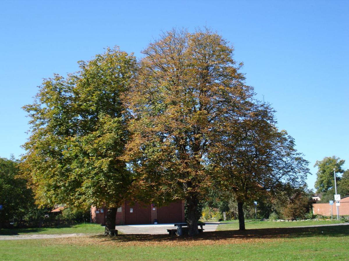 de lüt Ferienhof Jameln Exterior foto